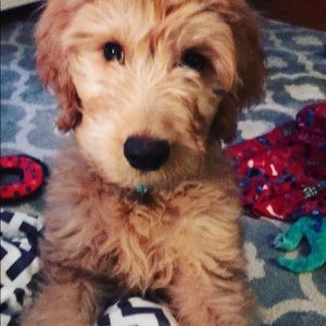 Meet your Posher, Bethany